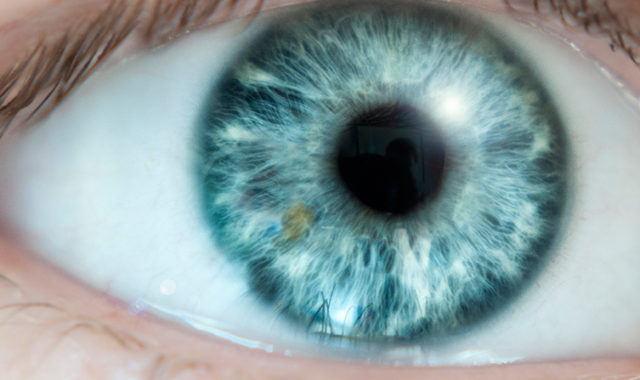 Das Auge: Bindehaut, Hornhaut und Regenbogenhaut